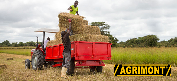 Farming in nigeria