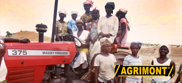 Massey Ferguson Tractors